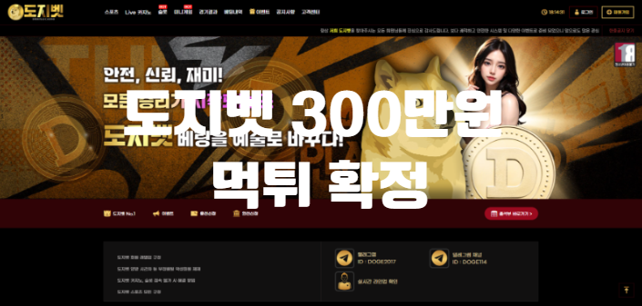 도지벳 300먹튀