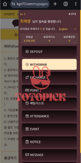 먹튀사이트카카오지노