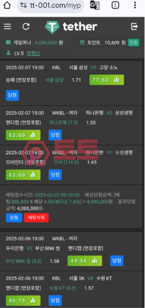 먹튀사이트 테더벳