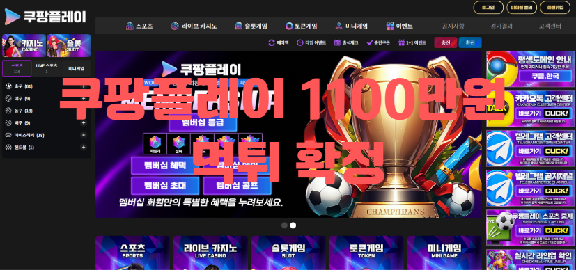 쿠팡플레이먹튀