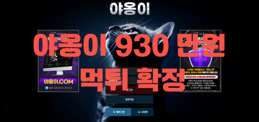 야옹이 먹튀