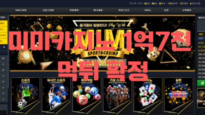 미미카지노 먹튀