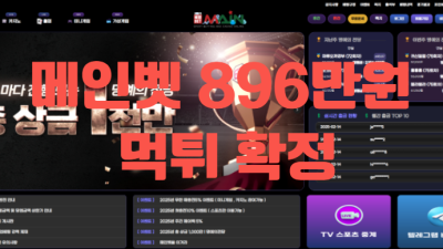 메인벳먹튀확정