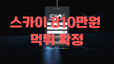 스카이먹튀