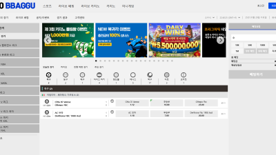 노빠구먹튀
