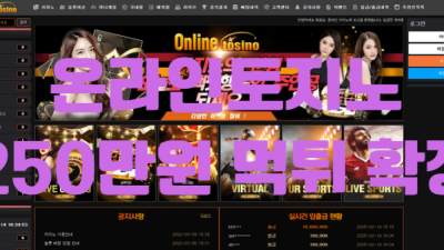 온라인토지노먹튀